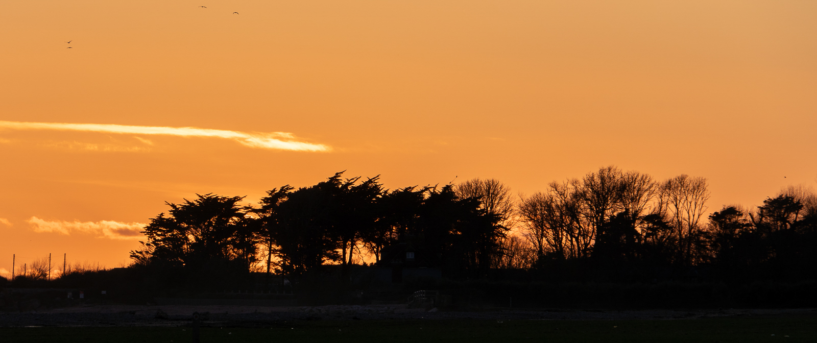 Photography by Chris Allington